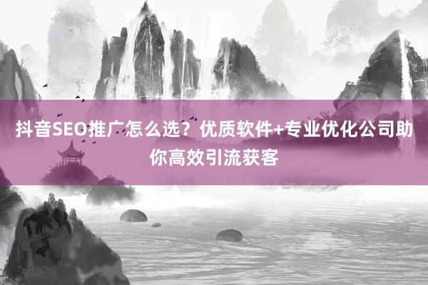 抖音SEO推广怎么选？优质软件+专业优化公司助你高效引流获客