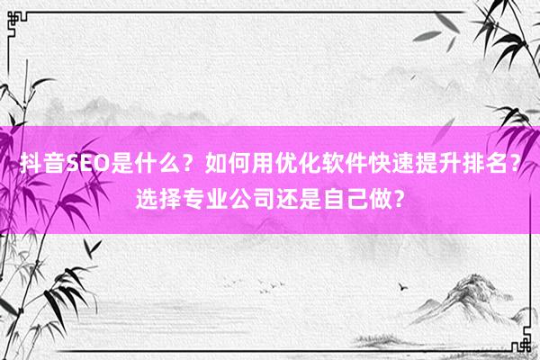 抖音SEO是什么？如何用优化软件快速提升排名？选择专业公司还是自己做？