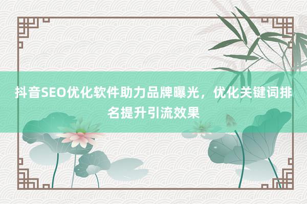 抖音SEO优化软件助力品牌曝光，优化关键词排名提升引流效果