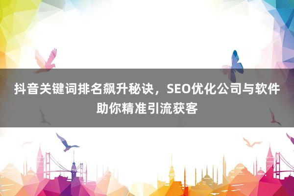 抖音关键词排名飙升秘诀，SEO优化公司与软件助你精准引流获客