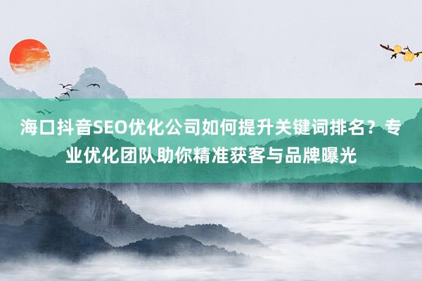 海口抖音SEO优化公司如何提升关键词排名？专业优化团队助你精准获客与品牌曝光