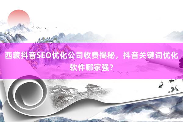 西藏抖音SEO优化公司收费揭秘，抖音关键词优化软件哪家强？