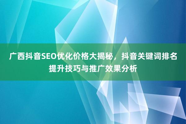 广西抖音SEO优化价格大揭秘，抖音关键词排名提升技巧与推广效果分析