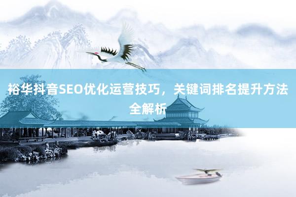 裕华抖音SEO优化运营技巧，关键词排名提升方法全解析