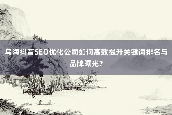 乌海抖音SEO优化公司如何高效提升关键词排名与品牌曝光？
