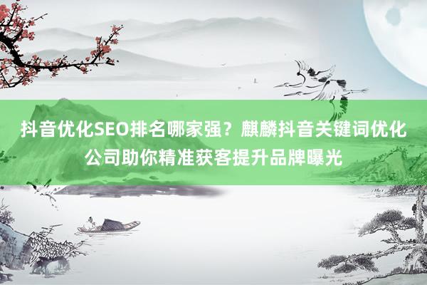 抖音优化SEO排名哪家强？麒麟抖音关键词优化公司助你精准获客提升品牌曝光
