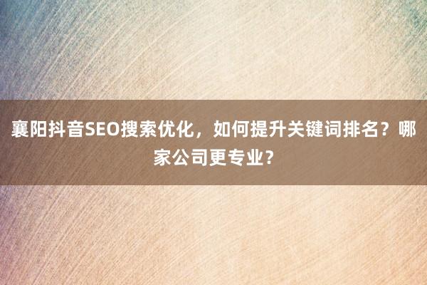 襄阳抖音SEO搜索优化，如何提升关键词排名？哪家公司更专业？