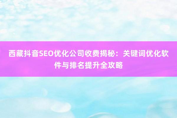 西藏抖音SEO优化公司收费揭秘：关键词优化软件与排名提升全攻略