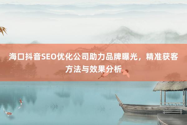 海口抖音SEO优化公司助力品牌曝光，精准获客方法与效果分析