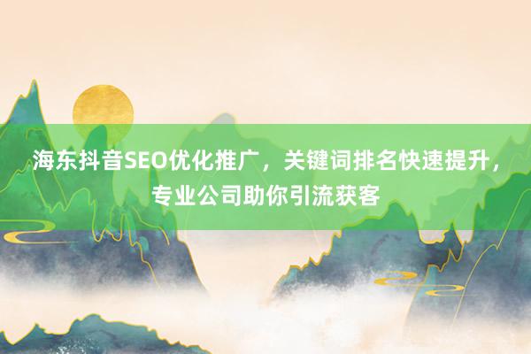海东抖音SEO优化推广，关键词排名快速提升，专业公司助你引流获客