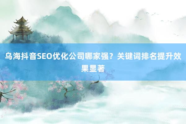乌海抖音SEO优化公司哪家强？关键词排名提升效果显著