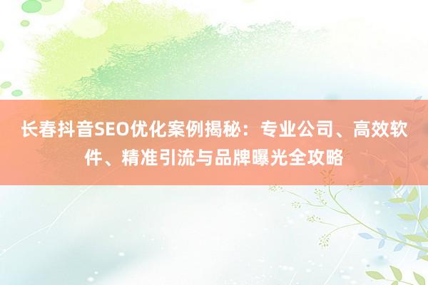 长春抖音SEO优化案例揭秘：专业公司、高效软件、精准引流与品牌曝光全攻略