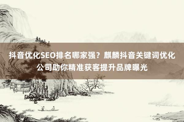 抖音优化SEO排名哪家强？麒麟抖音关键词优化公司助你精准获客提升品牌曝光