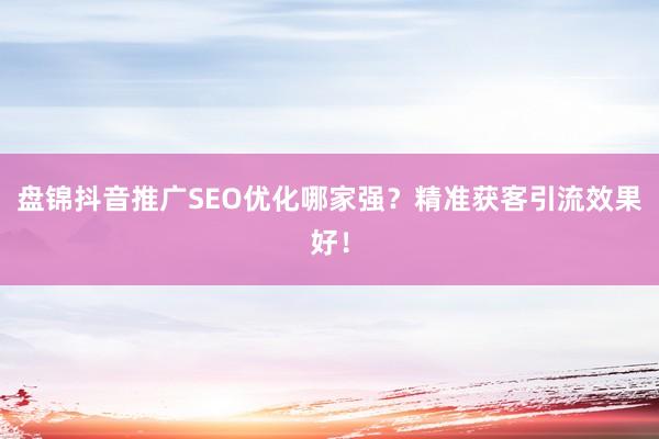 盘锦抖音推广SEO优化哪家强？精准获客引流效果好！
