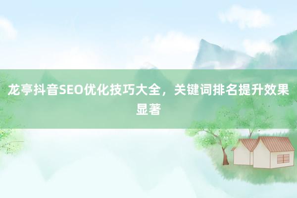 龙亭抖音SEO优化技巧大全，关键词排名提升效果显著