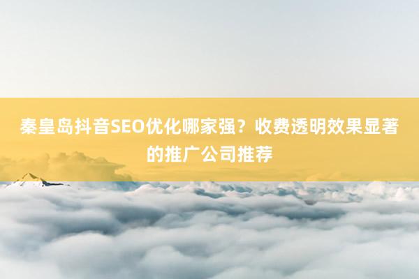 秦皇岛抖音SEO优化哪家强？收费透明效果显著的推广公司推荐