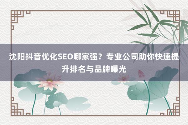 沈阳抖音优化SEO哪家强？专业公司助你快速提升排名与品牌曝光