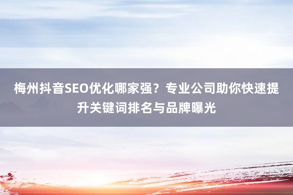 梅州抖音SEO优化哪家强？专业公司助你快速提升关键词排名与品牌曝光