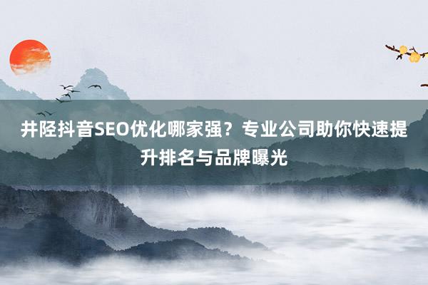 井陉抖音SEO优化哪家强？专业公司助你快速提升排名与品牌曝光