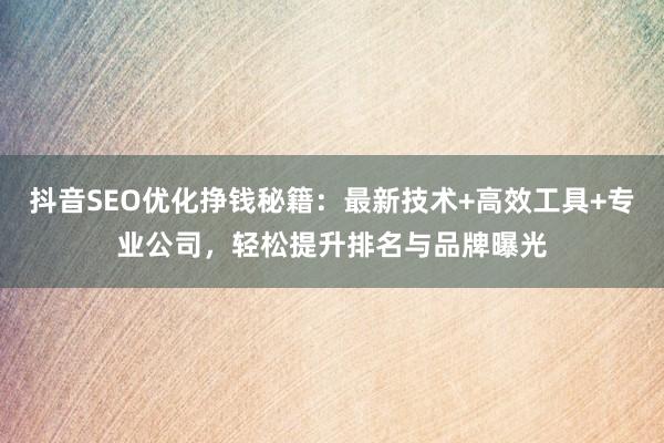 抖音SEO优化挣钱秘籍：最新技术+高效工具+专业公司，轻松提升排名与品牌曝光