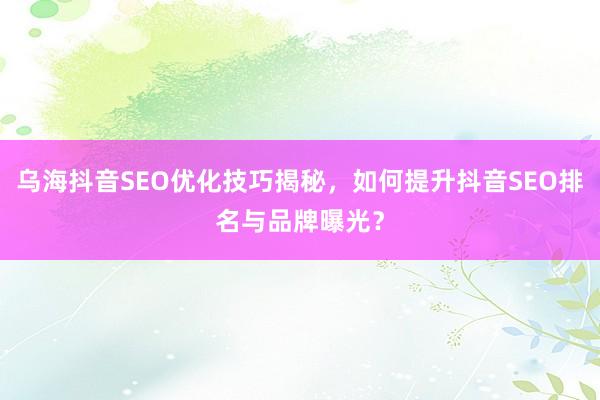 乌海抖音SEO优化技巧揭秘，如何提升抖音SEO排名与品牌曝光？