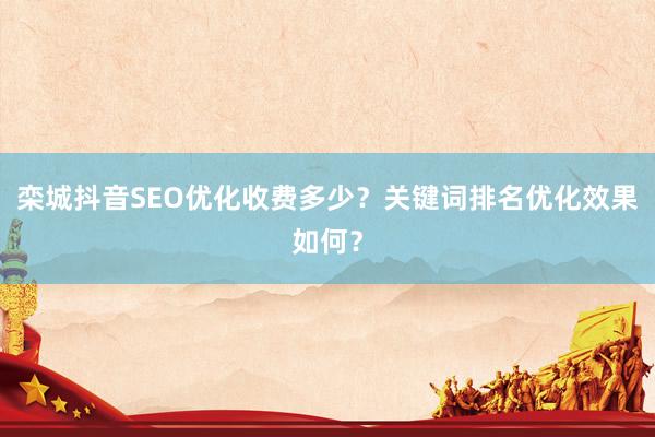 栾城抖音SEO优化收费多少？关键词排名优化效果如何？