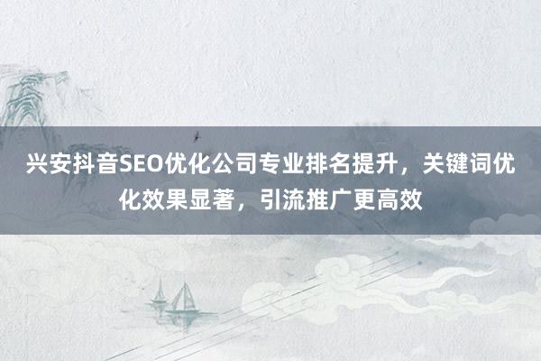 兴安抖音SEO优化公司专业排名提升，关键词优化效果显著，引流推广更高效