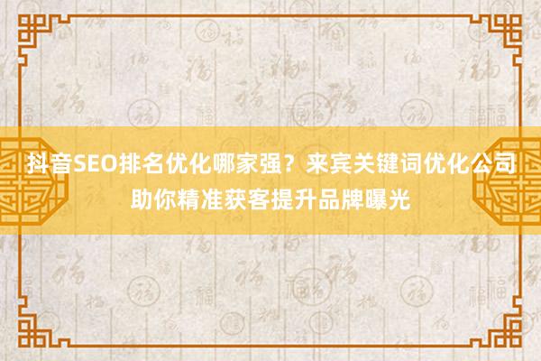 抖音SEO排名优化哪家强？来宾关键词优化公司助你精准获客提升品牌曝光