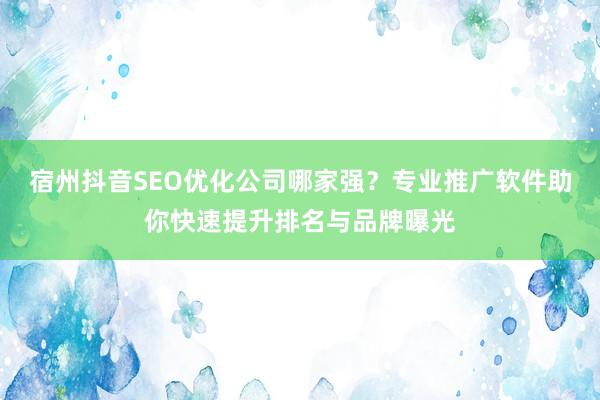 宿州抖音SEO优化公司哪家强？专业推广软件助你快速提升排名与品牌曝光