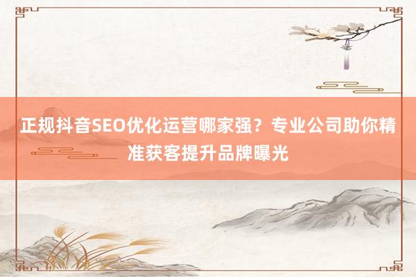 正规抖音SEO优化运营哪家强？专业公司助你精准获客提升品牌曝光
