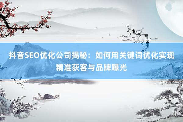 抖音SEO优化公司揭秘：如何用关键词优化实现精准获客与品牌曝光