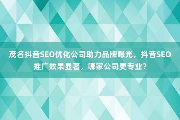 茂名抖音SEO优化公司助力品牌曝光，抖音SEO推广效果显著，哪家公司更专业？