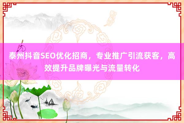 泰州抖音SEO优化招商，专业推广引流获客，高效提升品牌曝光与流量转化