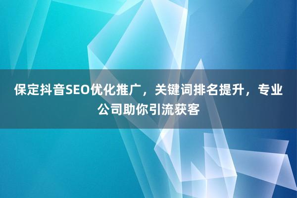 保定抖音SEO优化推广，关键词排名提升，专业公司助你引流获客