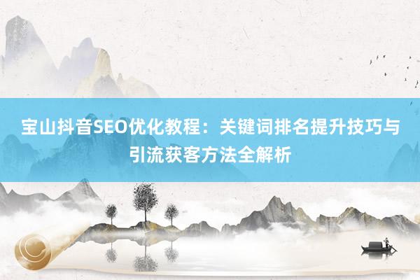 宝山抖音SEO优化教程：关键词排名提升技巧与引流获客方法全解析