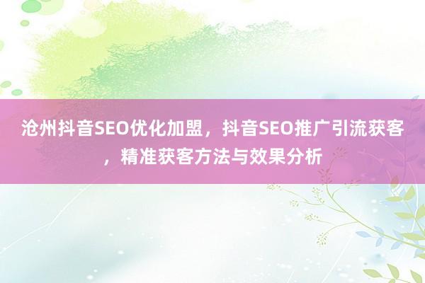沧州抖音SEO优化加盟，抖音SEO推广引流获客，精准获客方法与效果分析