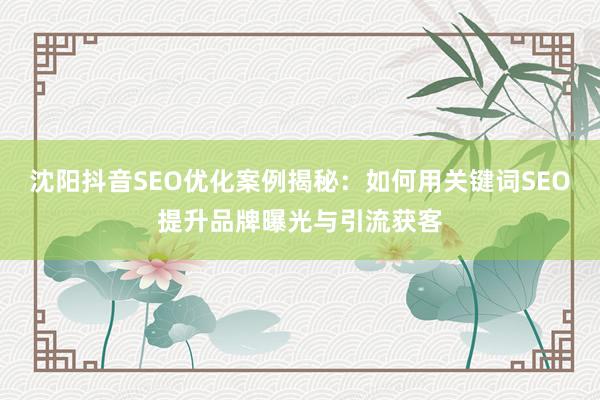 沈阳抖音SEO优化案例揭秘：如何用关键词SEO提升品牌曝光与引流获客