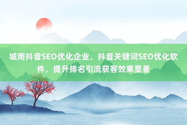 城南抖音SEO优化企业，抖音关键词SEO优化软件，提升排名引流获客效果显著