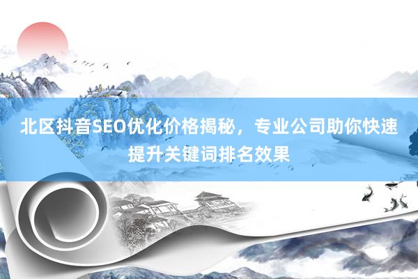 北区抖音SEO优化价格揭秘，专业公司助你快速提升关键词排名效果