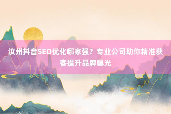 汝州抖音SEO优化哪家强？专业公司助你精准获客提升品牌曝光