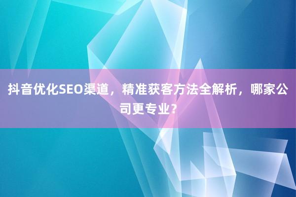 抖音优化SEO渠道，精准获客方法全解析，哪家公司更专业？