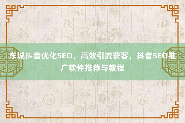 东城抖音优化SEO，高效引流获客，抖音SEO推广软件推荐与教程