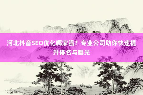 河北抖音SEO优化哪家强？专业公司助你快速提升排名与曝光