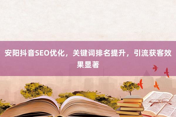 安阳抖音SEO优化，关键词排名提升，引流获客效果显著