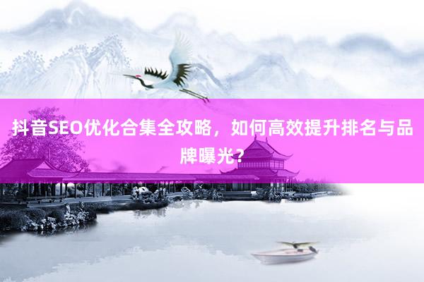 抖音SEO优化合集全攻略，如何高效提升排名与品牌曝光？