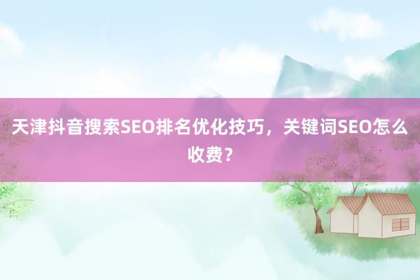 天津抖音搜索SEO排名优化技巧，关键词SEO怎么收费？