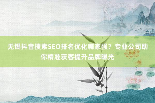 无锡抖音搜索SEO排名优化哪家强？专业公司助你精准获客提升品牌曝光