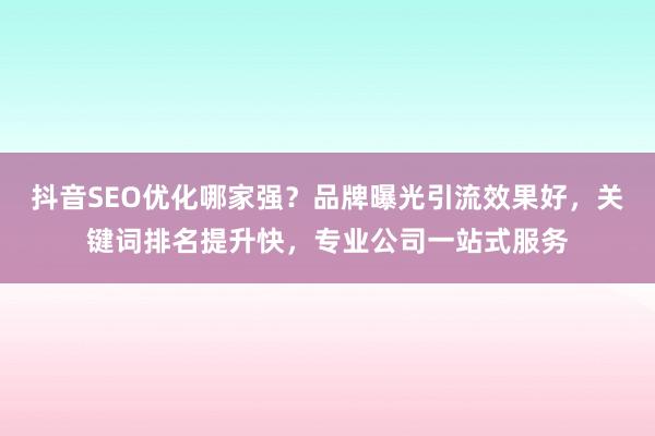 抖音SEO优化哪家强？品牌曝光引流效果好，关键词排名提升快，专业公司一站式服务