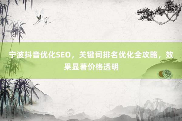 宁波抖音优化SEO，关键词排名优化全攻略，效果显著价格透明