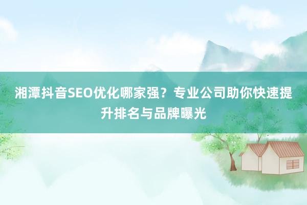 湘潭抖音SEO优化哪家强？专业公司助你快速提升排名与品牌曝光